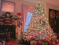 Léo et Melline préparent Noël