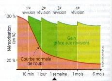 Quelques règles pour un bon apprentissage.