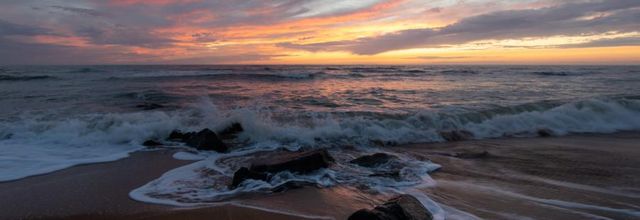 Plumes et couleurs de l’Atlantique, l’île d’Oléron