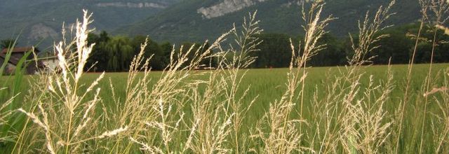 Sur les chemins.. à bicyclette !