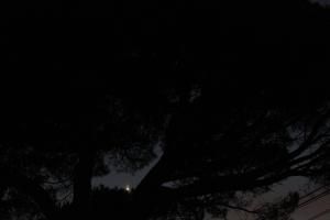 La Grande conjonction Jupiter Saturne