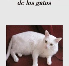 Descargando libros en ipad gratis LO QUE APRENDEMOS DE LOS GATOS 9788433997807 de PALOMA DIAZ-MAS