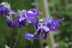 Grainothèque "comment procéder"