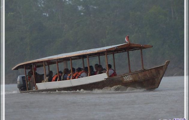 Départ pour notre lodge amazonien - Puerto Maldonado - Pérou