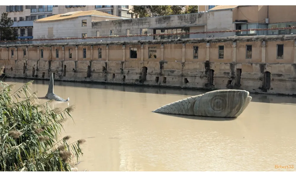 Suite de Murcia et les environs -4