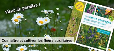 La magie des sauvages au jardin : avril