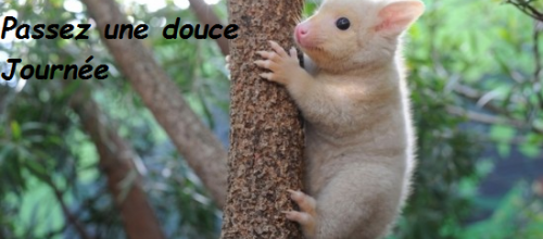 Bonne journée à tous