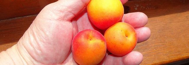 Couleur orange et délicieux