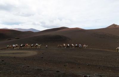 Lanzarote : A dos de chameau 