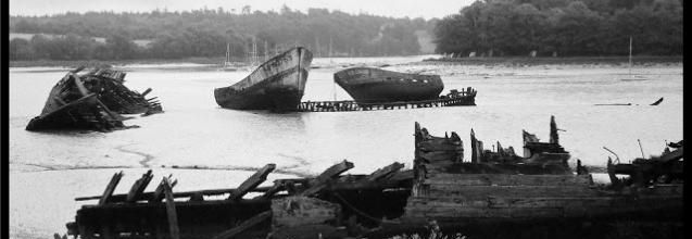  La roue de la vie .../ La rado de la vivo ...