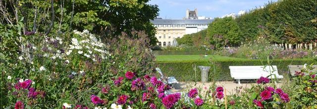 Jardin du Palais-Royal : Son histoire