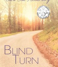 DOWNLOAD [PDF] {EPUB} Blind Turn