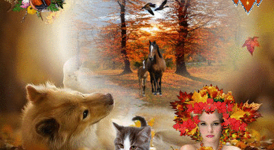 ANIMAUX CHEVAL DANS LA NATURE