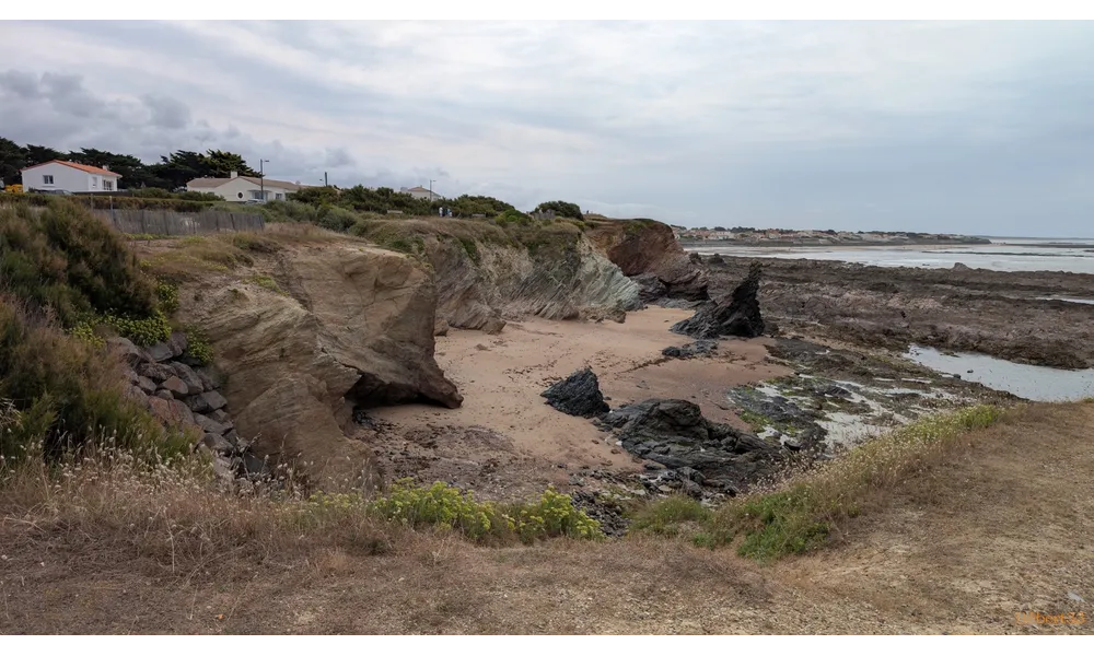 les marais d'Yves - Châtellaillon (17)