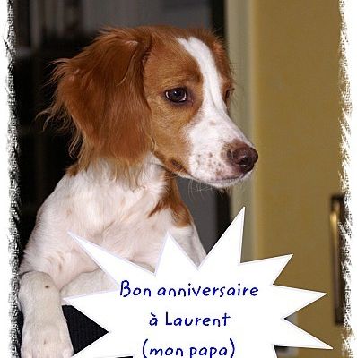 Bon anniversaire à Mr Luby