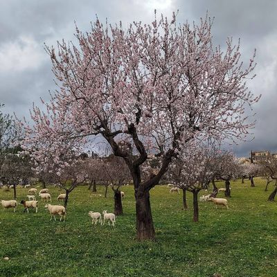 Très bon début de semaine à tous .... 