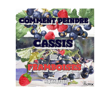 Dessin et peinture - vidéo 4543 : Comment peindre une nature morte aux cassis et framboises ? - aquarelle.