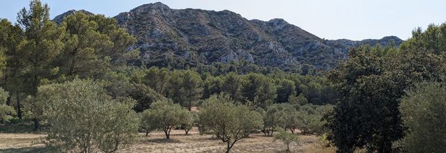 Eygalières dept 13 -2