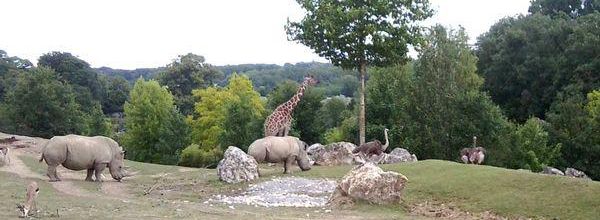 Promenade en Afrique du Sud