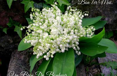 1er mai - Du bonheur pour tous !!!!