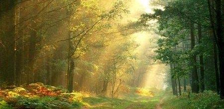 Dans le parfum de l'automne. - Bruno