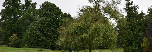 Balade dans le Parc du Château de Rambouillet