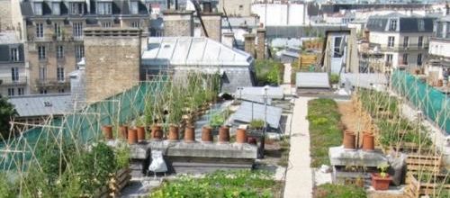 La RATP va développer l’agriculture en Île-de-France