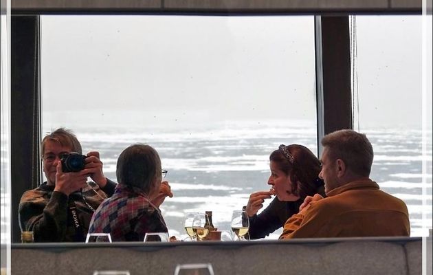 Après le repas, la journée se poursuit avec la navigation dans une banquise lâche et dégradée, dans une ambiance brumeuse tenace, où nous allons surtout observer des phoques