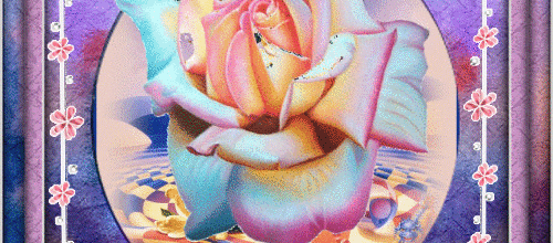 CADRE FLEURS AMITIE