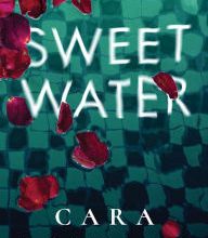 Online Read Ebook Sweet Water