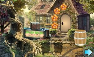 G4K Colorist hen escape