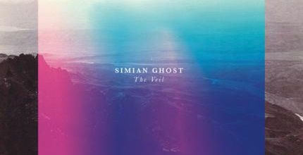 Simian Ghost, le clip conceptuel de Never Really Knew