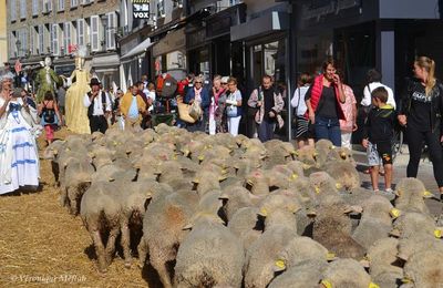 Rambouillet : Fête de la Saint Lubin ... Petite histoire