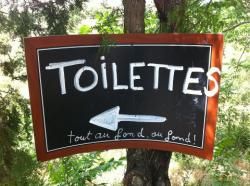 Mouches et guêpes