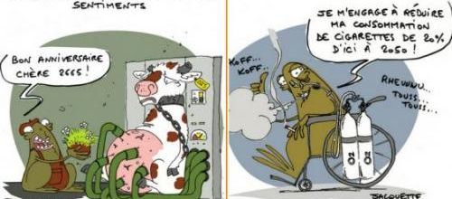 Le rendement n'empêche pas les sentiments