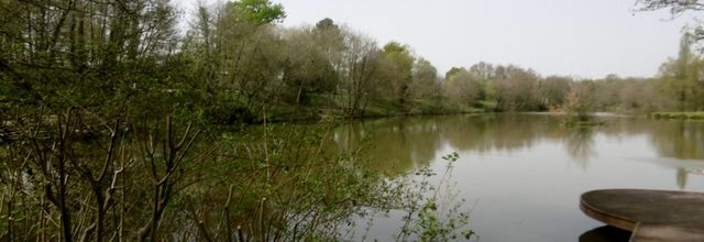 Une balade aux Lac d'Halco à HAGETMAU (40), le 31 mars...