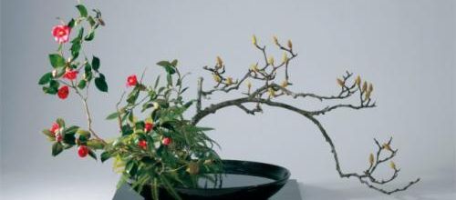  Hiroki Ohara- Ikebana