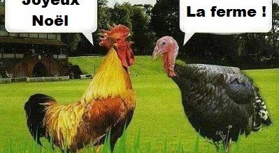 Le coq et la dinde