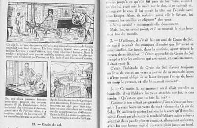 7 - Hector Malot - En famille