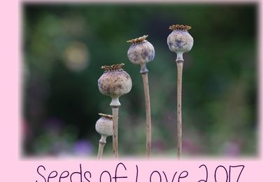 SEEDS OF LOVE 2017