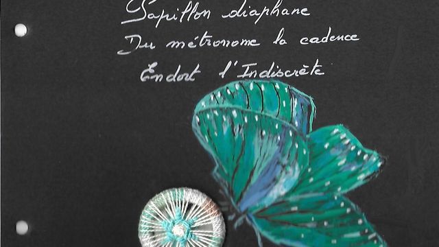 Bouton Dorset : Septembre en turquoise