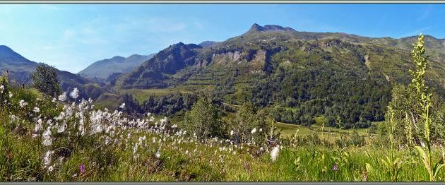 Vue panoramique sur la partie haute de la vallée du Varrados à partir d'une zone humide - Val d'Aran - Catalogne - Espagne