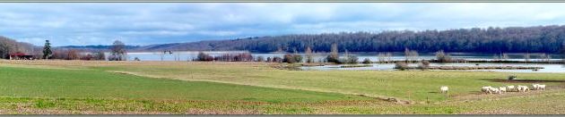 Panorama sur le Lac de Puydarrieux avec son troupeau de vaches Blondes d'Aquitaine - Hautes-Pyrénées