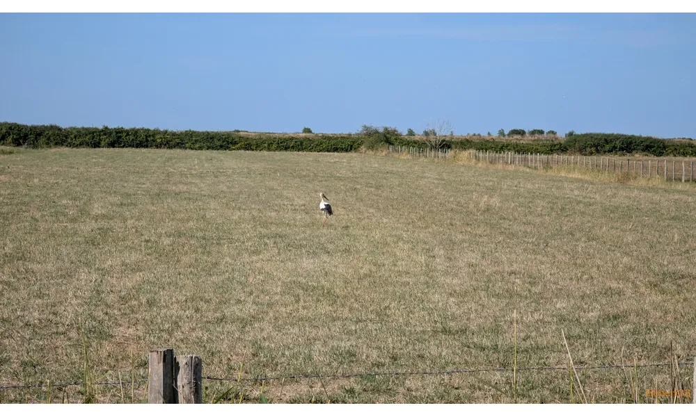 Port Maubert - dept 17