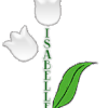 758 - 758A - En voiture - Couple 1er mai, muguet 