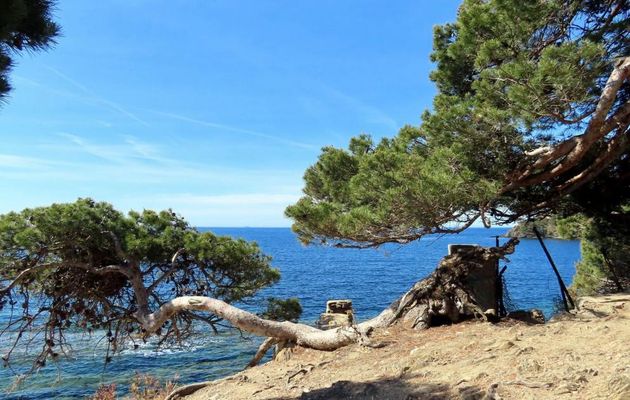 fin de la presqu'île de Giens -16/16