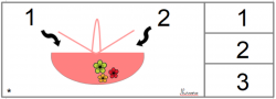 composition - décomposition C1 et C2
