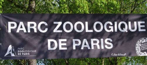 Visite au zoo de Vincennes (2)