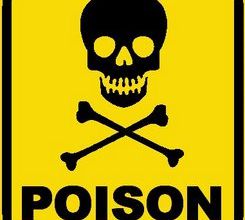 LA PERMETHRINE : DANGER MORTEL