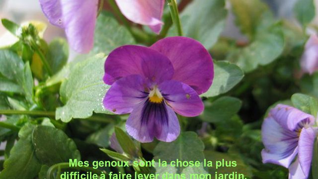 La Main Verte en... FEVRIER 